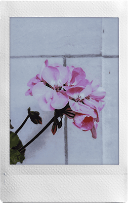 Macro